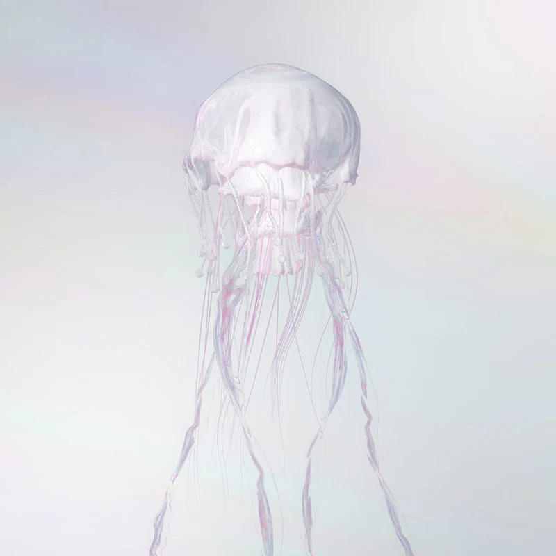 SCANDAL – LUMINOUS [CD / Video / Magazine / T-shirt Editions] - Image 8