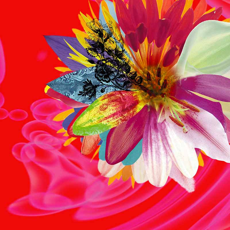 the GazettE – Cassis [Digital]