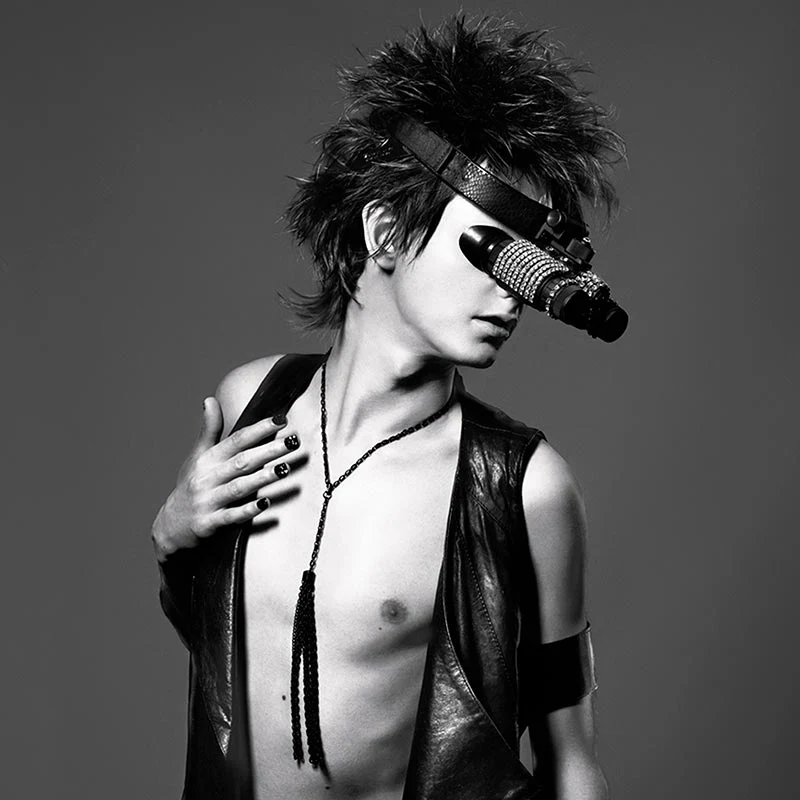 the GazettE – SHIVER [Digital]